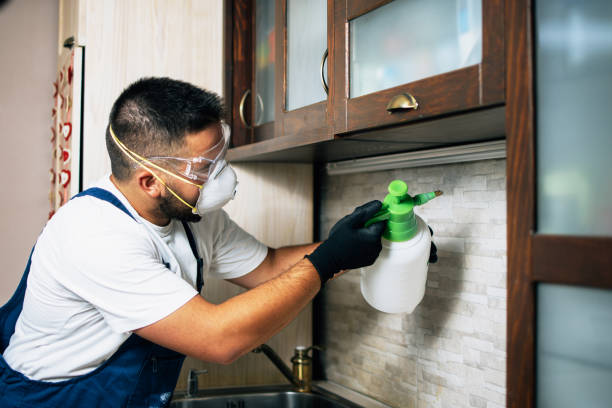 Best Pest Prevention Services  in Oakdale, LA