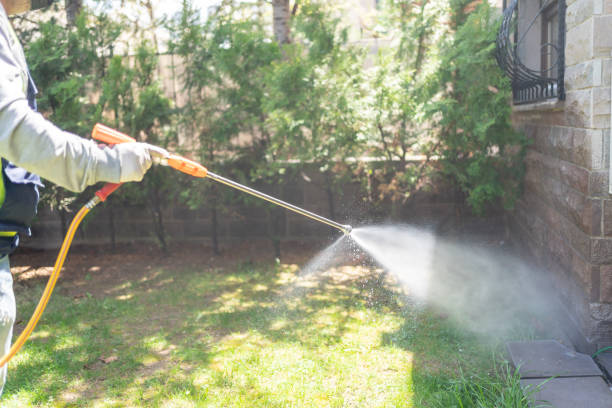 Reliable Oakdale, LA Pest Control Solutions