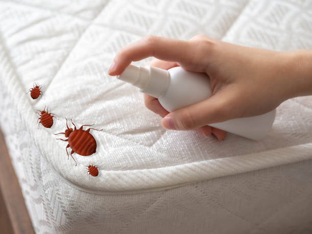 Best Mosquito Control Services  in Oakdale, LA