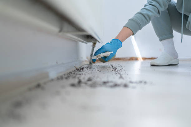 Best Bed Bug Extermination  in Oakdale, LA