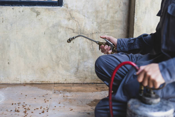 Best Affordable Pest Control Services  in Oakdale, LA